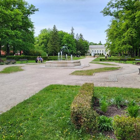 Villa Klara Cieplice เยเลเนียกูรา ภายนอก รูปภาพ