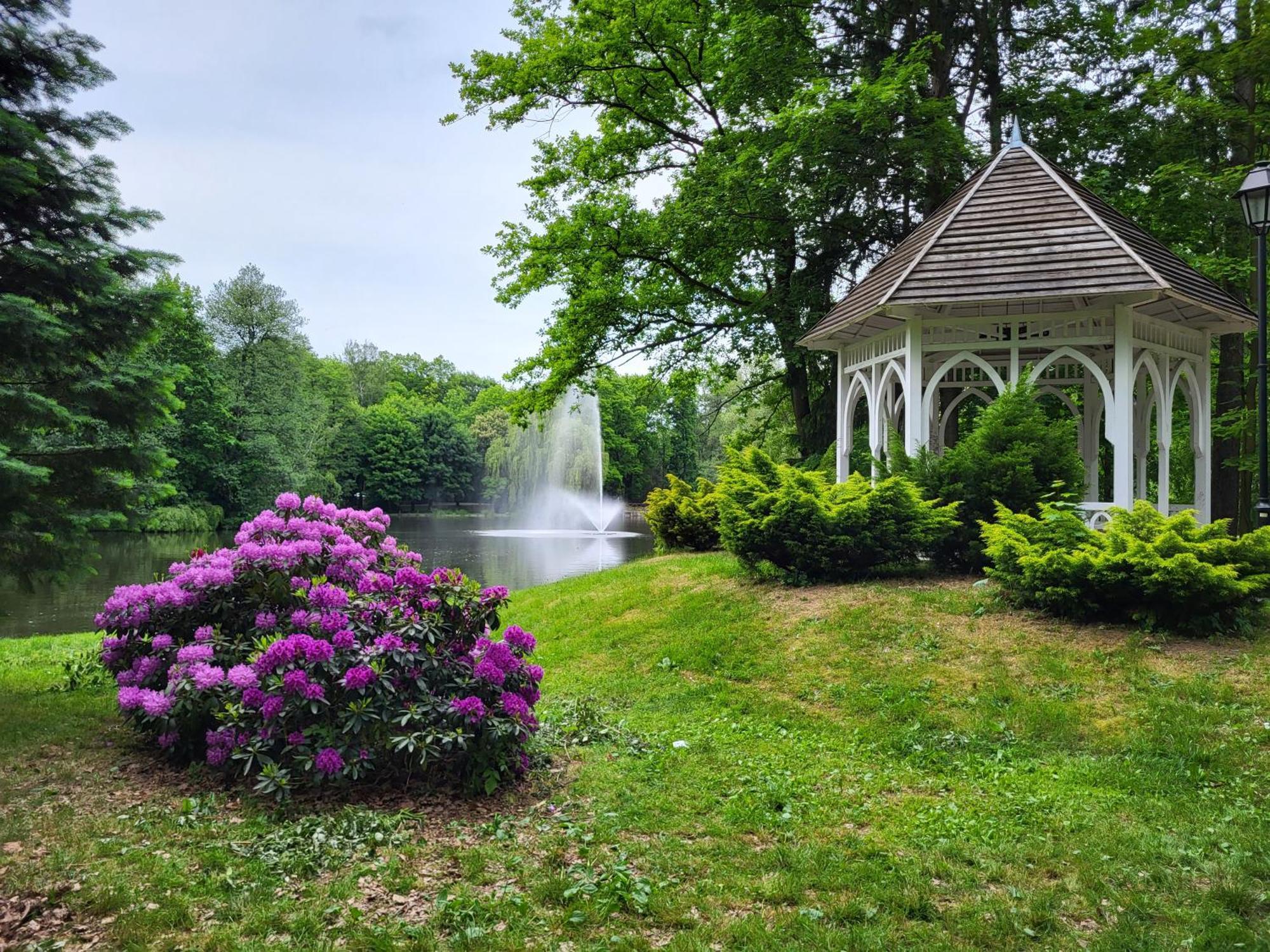 Villa Klara Cieplice เยเลเนียกูรา ภายนอก รูปภาพ